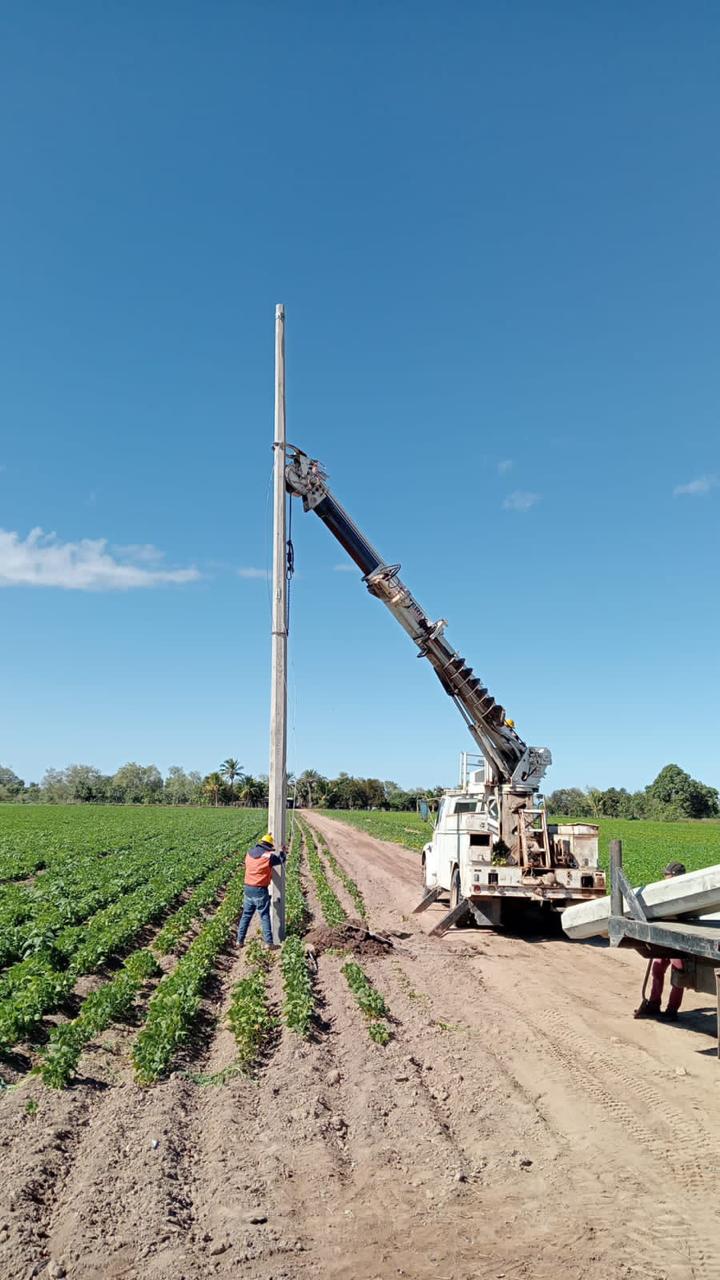 Trabajos Particulares